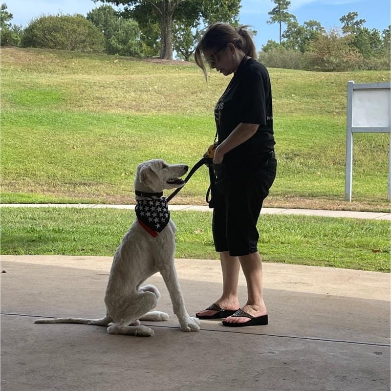 K-9’s in the Pines Beginning Obedience Training