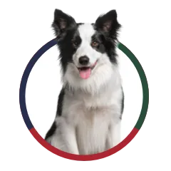 Behavior Modification